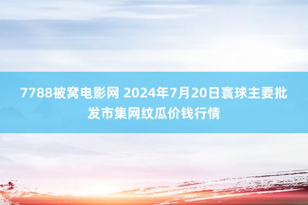 7788被窝电影网 2024年7月20日寰球主要批发市集网纹瓜价钱行情