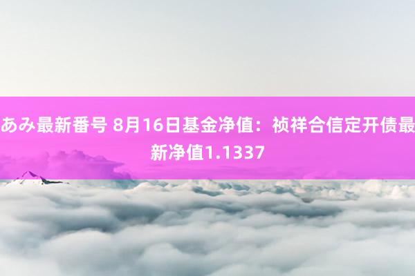 あみ最新番号 8月16日基金净值：祯祥合信定开债最新净值1.1337