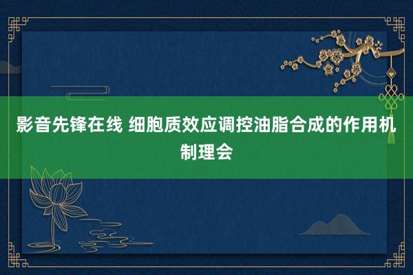 影音先锋在线 细胞质效应调控油脂合成的作用机制理会