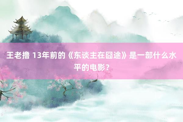 王老撸 13年前的《东谈主在囧途》是一部什么水平的电影？