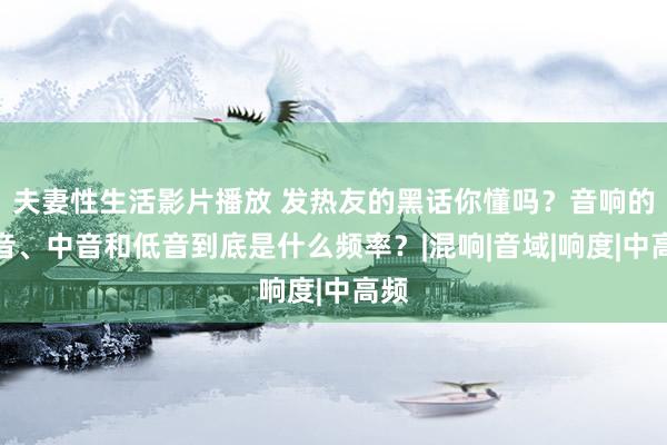 夫妻性生活影片播放 发热友的黑话你懂吗？音响的高音、中音和低音到底是什么频率？|混响|音域|响度|中高频