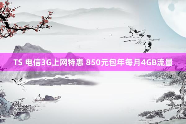 TS 电信3G上网特惠 850元包年每月4GB流量